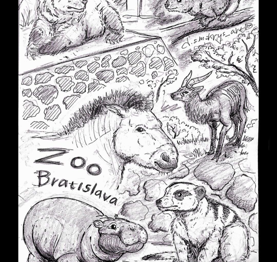 New drawing I made at Ba ZOO
