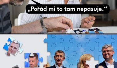 Jednobarevná vláda