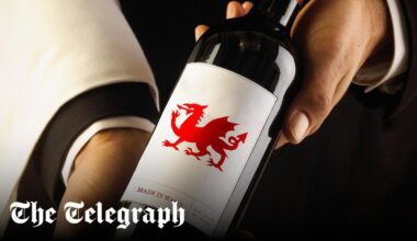 Why Wales’s wine industry could be the next big thing