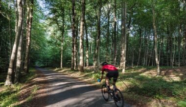 French-speaking woman calls emergency services to help injured man in Sonian Forest, but is only allowed to speak Dutch