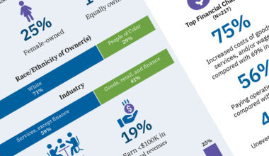 Small Business Credit Survey: The 2025 Southeast Insights