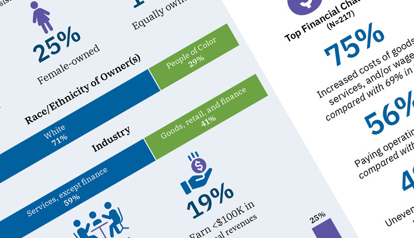 Small Business Credit Survey: The 2025 Southeast Insights