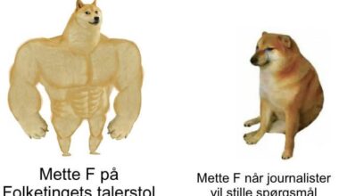 It’s funny ‘cause it’s true