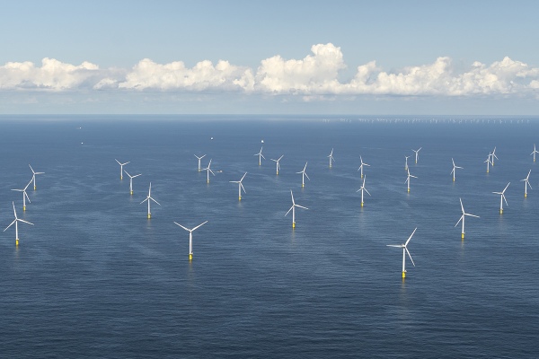 Dutch Government Scales Back Offshore Wind Targets, Preserves Fishing Grounds