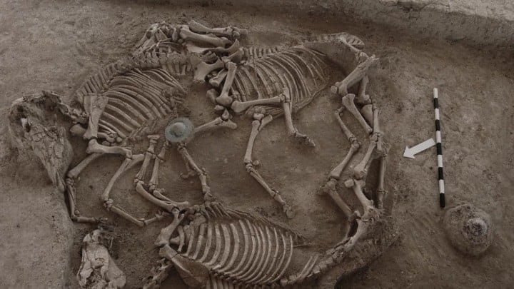 Greece tumulus horses carriages