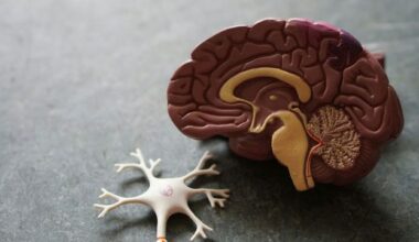 Alzheimer’s Risk Linked to APOE4’s Metabolic Impact