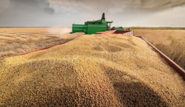 China halts US soybean imports to hit Trump’s MAGA supporters