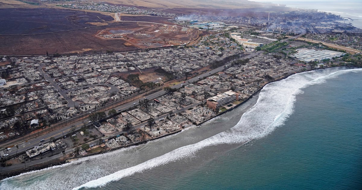 Study finds wildfires are now four times more frequent due to climate change