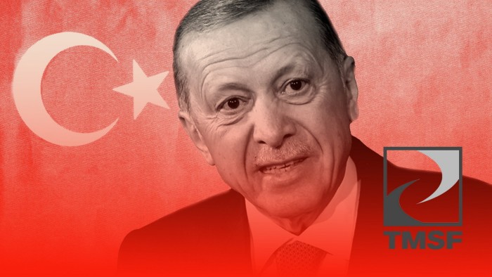 Crackdown or capital grab? Turkey seizes over 1,000 businesses