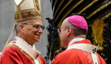 Why the ‘McKnight plan’ is in line with Leo’s priorities