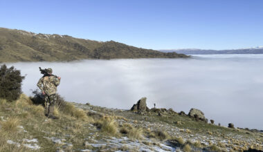 New Zealand Adventure: A Mountain of Dreams