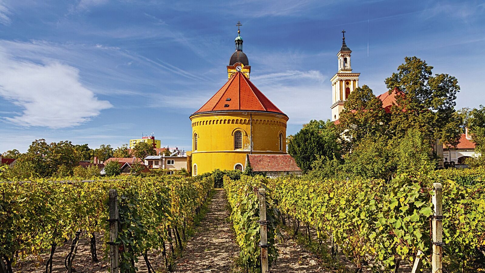 Drinking your way through Slovakia