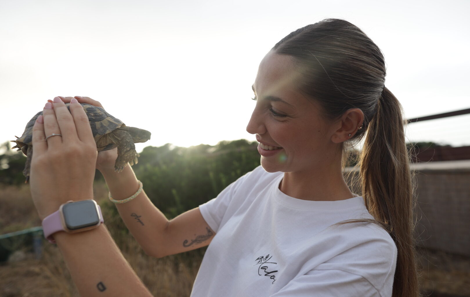 After the Floods: Saving Spain’s Turtles | Documentary