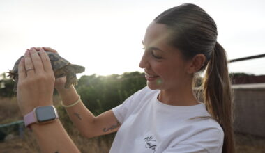 After the Floods: Saving Spain’s Turtles | Documentary