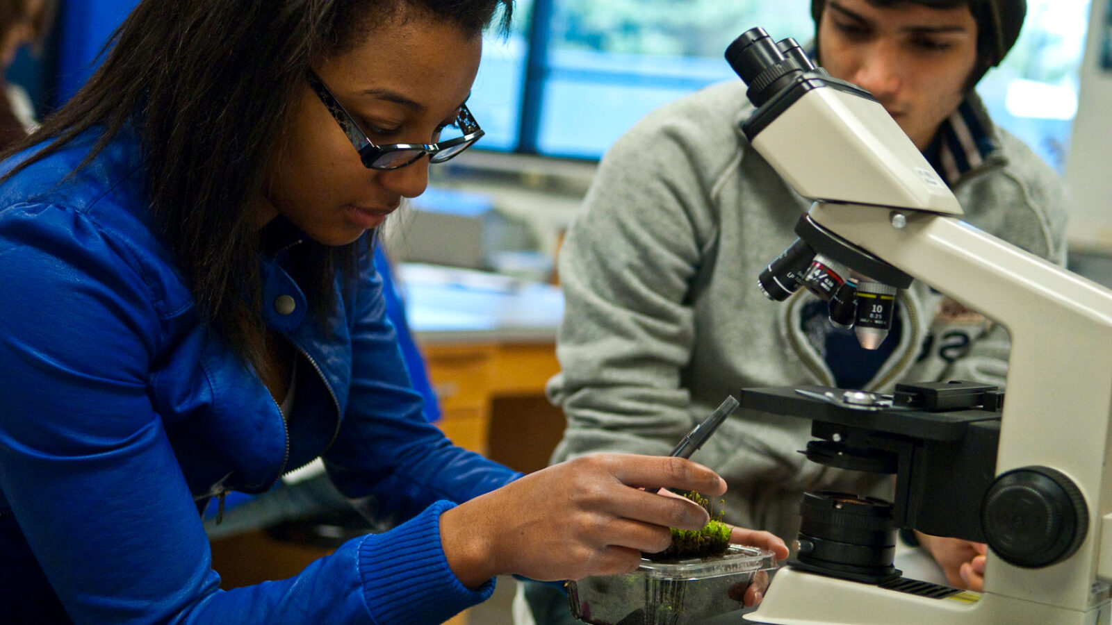 Science Teachers Scramble as US Climate Resources Vanish