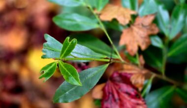 Der Herbst ist da 🍁