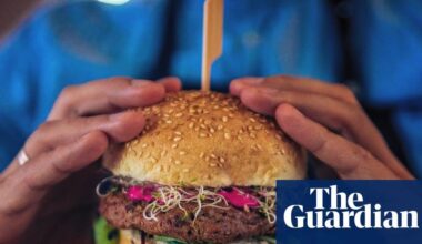 ‘Veggie burgers’ could be off EU menu as MEPs back renaming plant-based foods