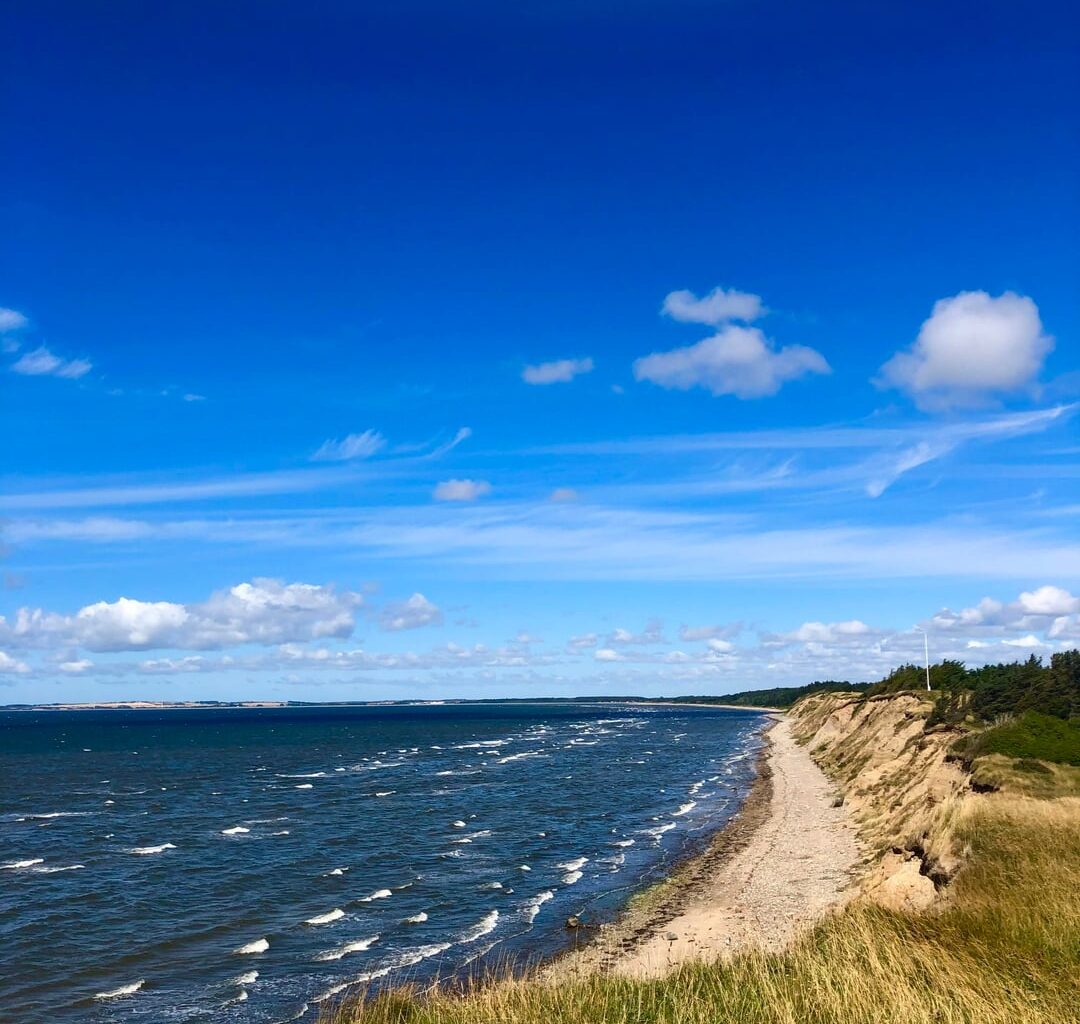 Er dansk natur virkelig så dårligt?