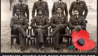 Poppies for all