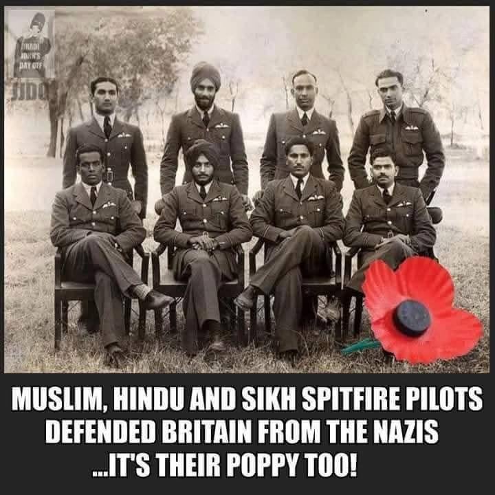 Poppies for all