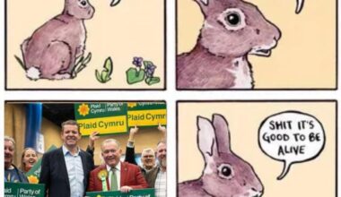 Waking up into a beautiful world