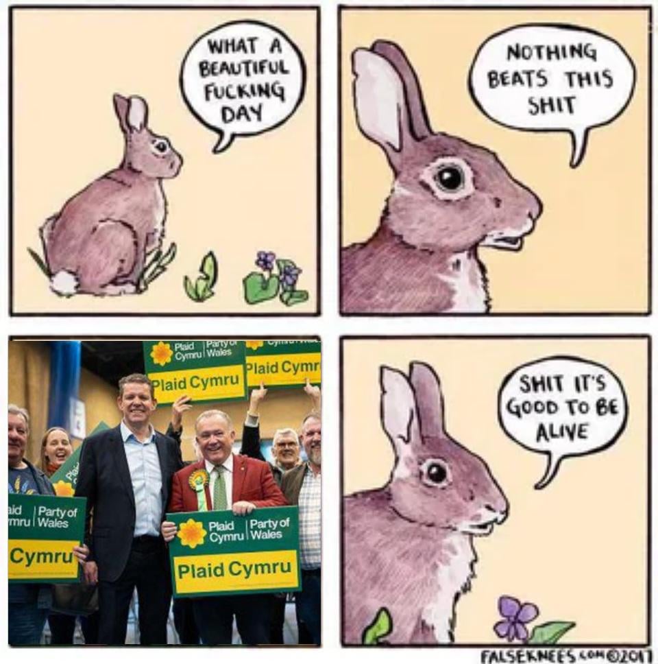 Waking up into a beautiful world