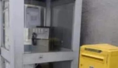 Rare image de l'apparition de la couleur.