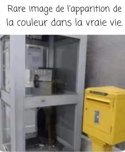 Rare image de l'apparition de la couleur.