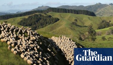 New Zealand accused of ‘full-blown climate denial’ over cuts to methane reduction targets. Farmers praised the move, but scientists and opposition parties criticised it as ‘weak’ and ‘unambitious’