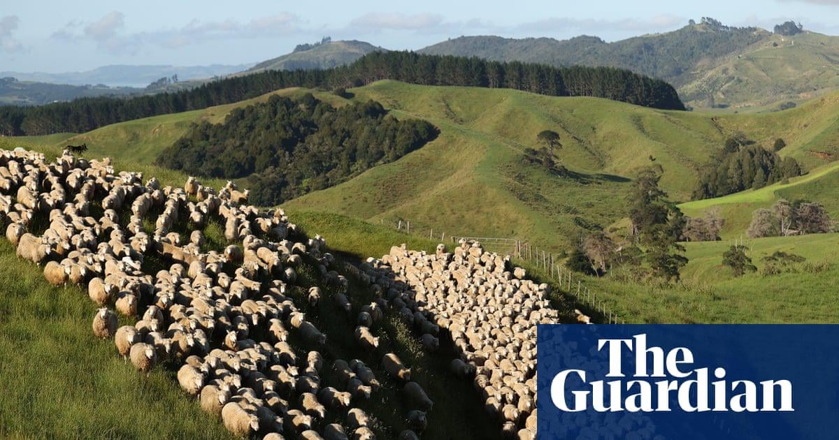 New Zealand accused of ‘full-blown climate denial’ over cuts to methane reduction targets. Farmers praised the move, but scientists and opposition parties criticised it as ‘weak’ and ‘unambitious’