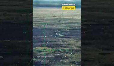 Ukrainian fields now covered with fiber optic cables — Russia’s war against Ukraine kills people and nature alike