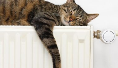 Demokratai siūlo taikyti lengvatinį PVM tarifą šildymui