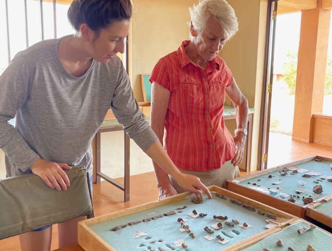 cover Hand and foot fossils found in Kenya for ancient human relative