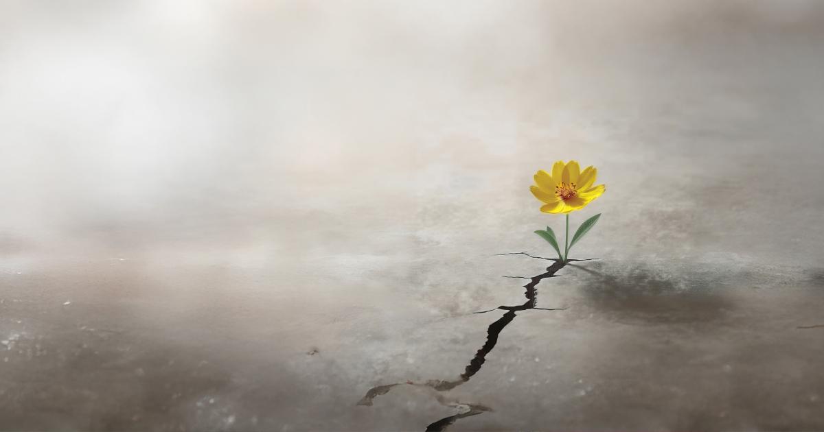 How Public Health Can Thrive in a Hard Season