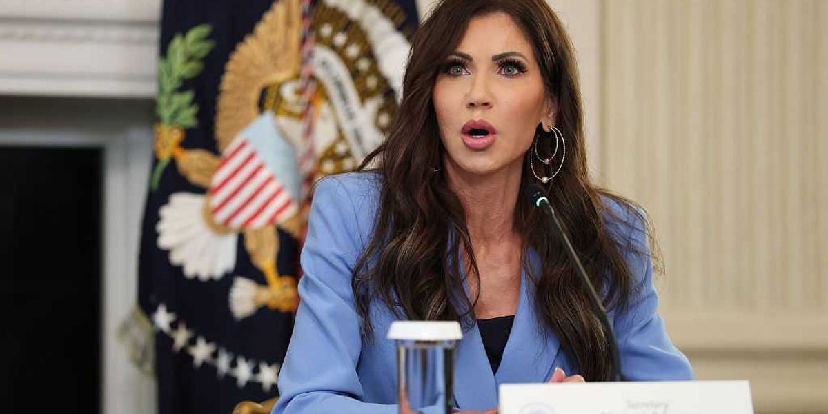 ‘Where’s DOGE?’ Kristi Noem and Homeland Security’s latest eye-watering purchase sparks criticism