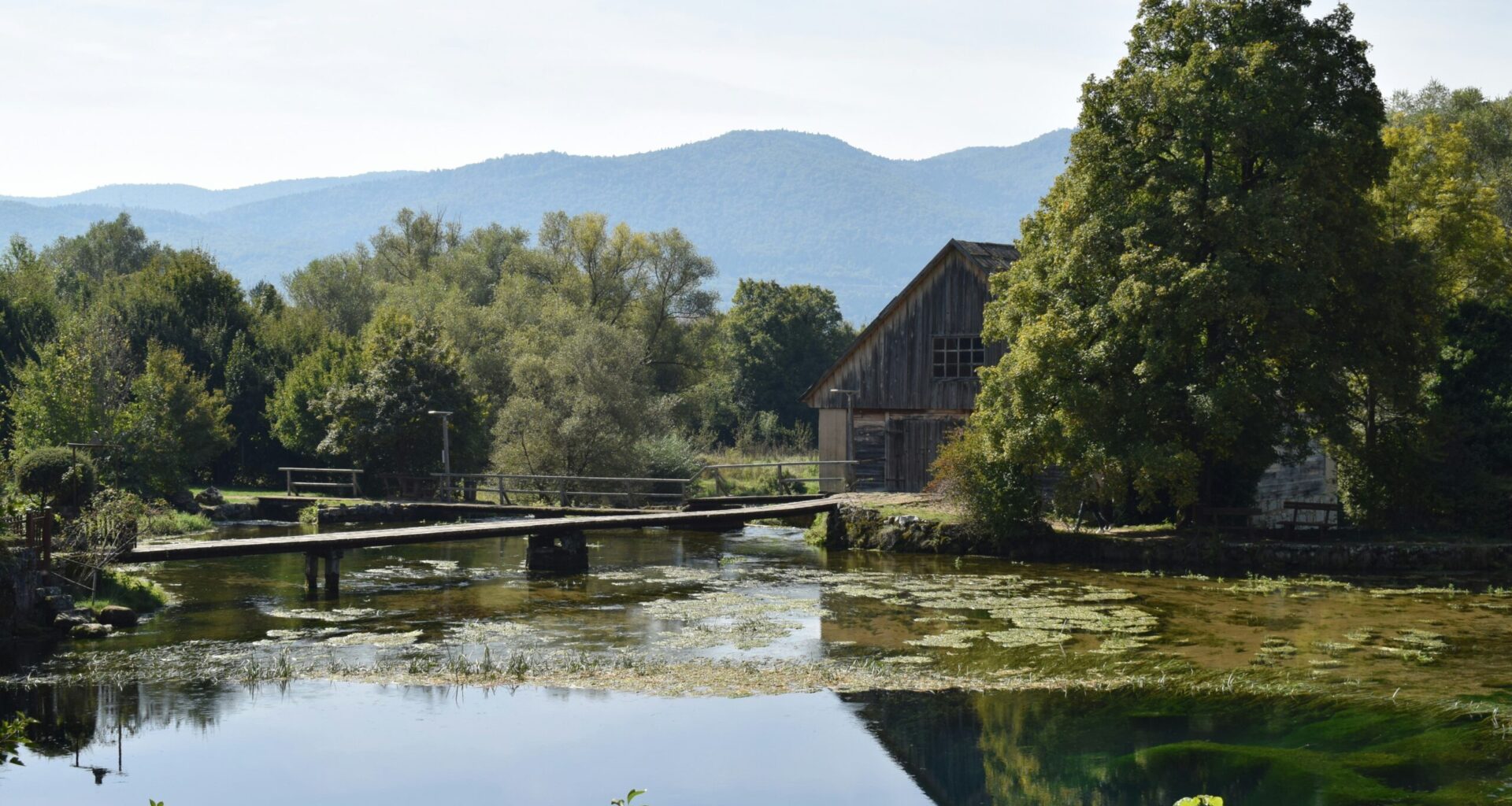 The Croatian River Where Trout Grow 7 Times Faster Than Elsewhere