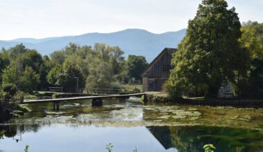The Croatian River Where Trout Grow 7 Times Faster Than Elsewhere