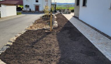 Sandbeet - Fazit nach dem ersten Sommer