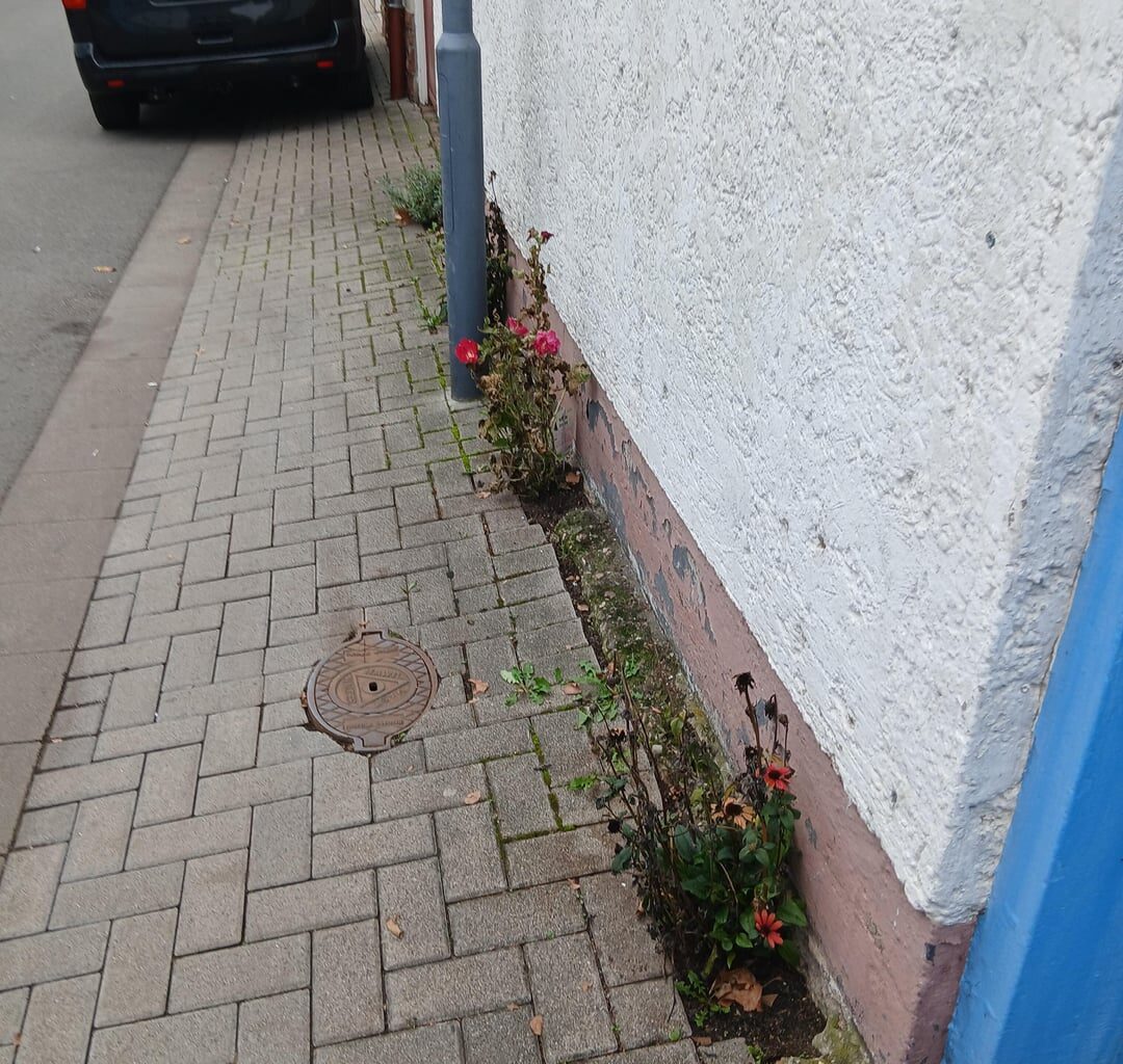 Schaffen die es nochmal?