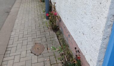 Schaffen die es nochmal?