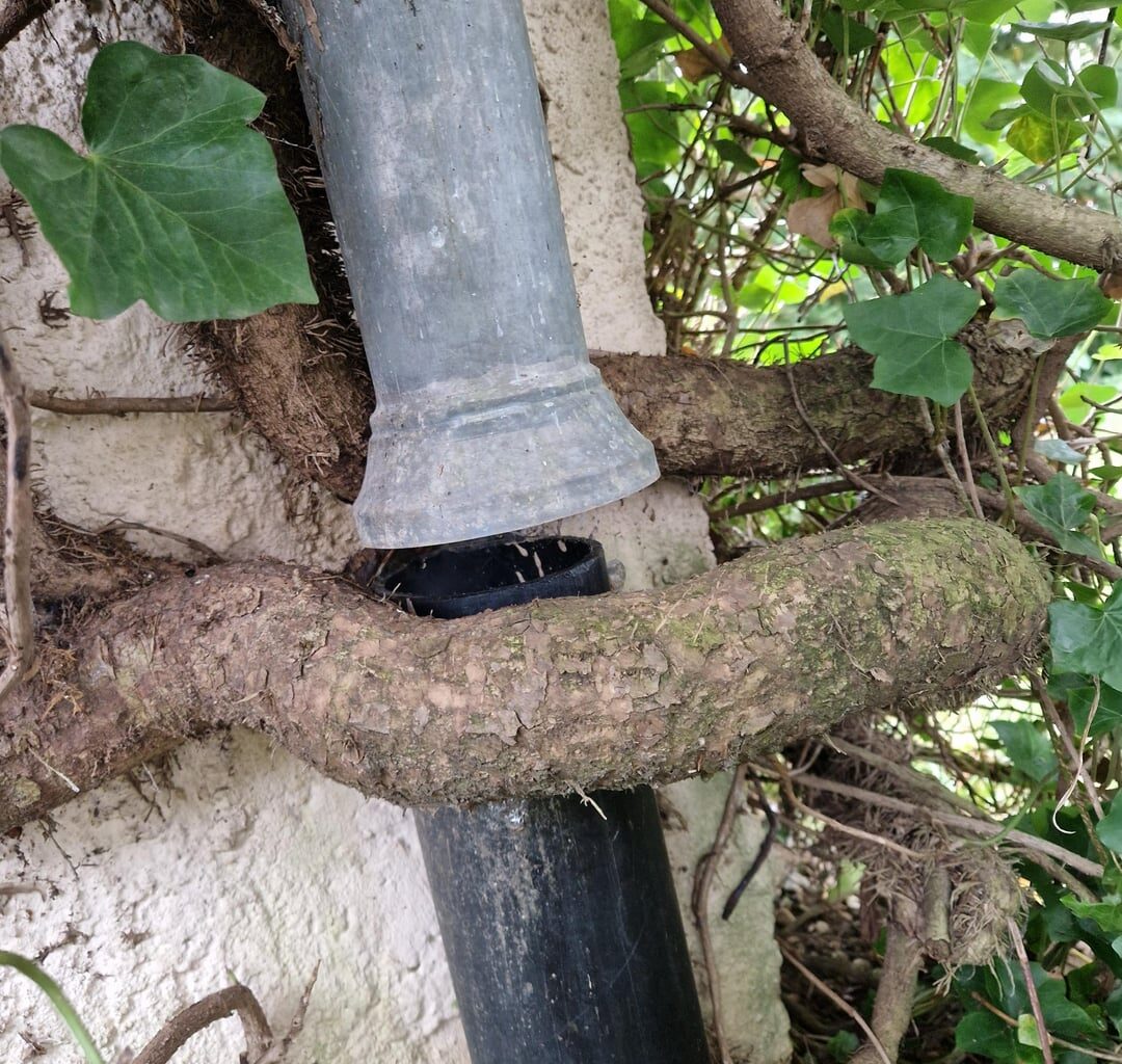 Tja. Was kann man da wohl machen?