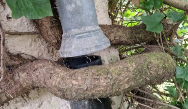 Tja. Was kann man da wohl machen?