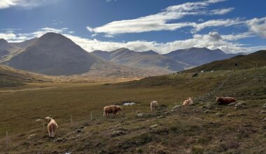 A few pictures from our trip in September