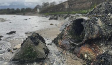 NI Water should 'not be protected' from pollution prosecution