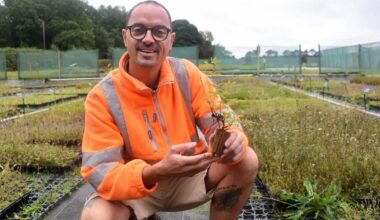 Huge wildflower nursery sees a surge in demand as attitudes to nature change