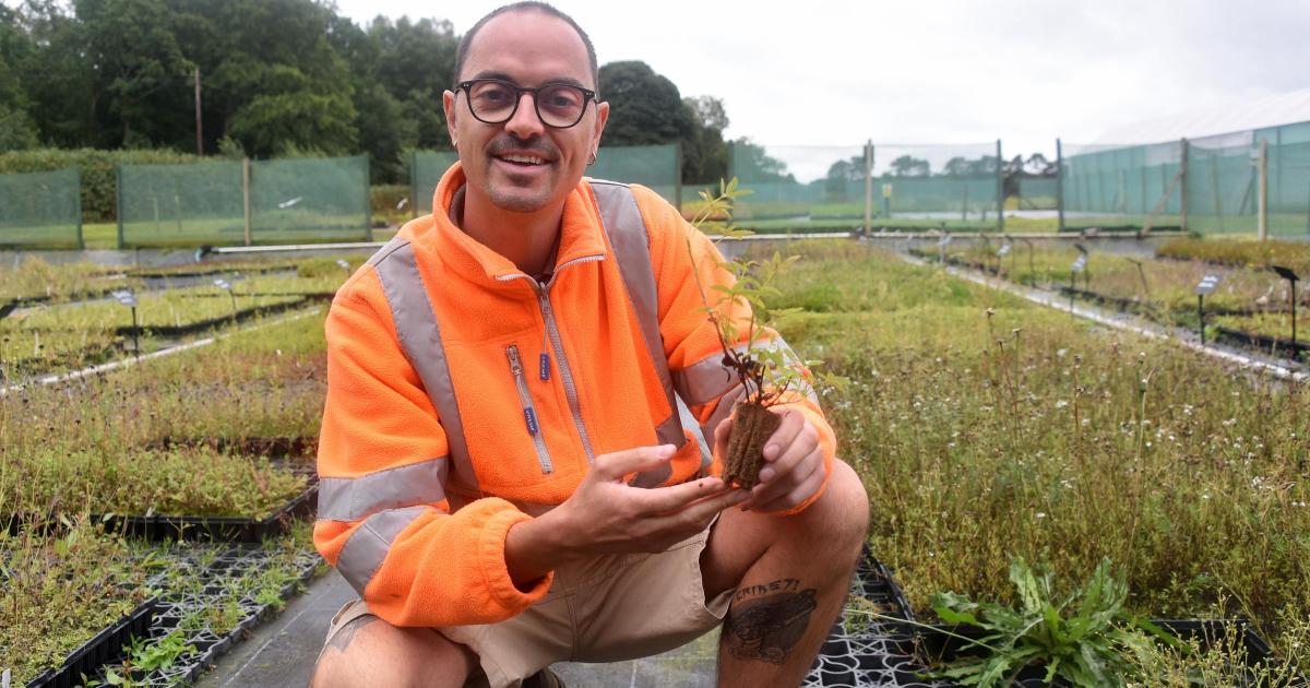 Huge wildflower nursery sees a surge in demand as attitudes to nature change