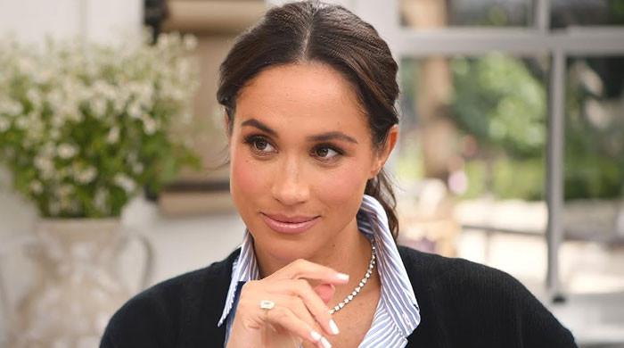 Meghan Markle turns into ‘Princess Pinocchio' after launching five-year onslaught
