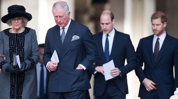 Prince William, Queen Camilla lead royal opposition to Harry's return
