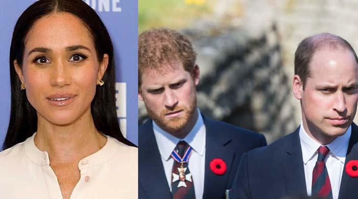 Prince Harry, Prince William 'furious' over Meghan Markle's THIS move