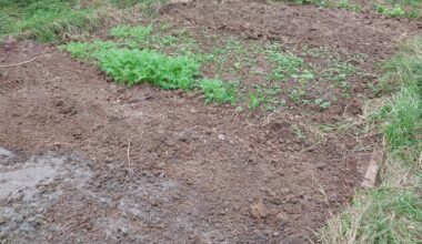 Endlich wieder mit dem Boden arbeiten